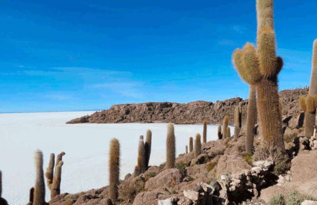 Excursión de 3 días a Uyuni - Foto 3