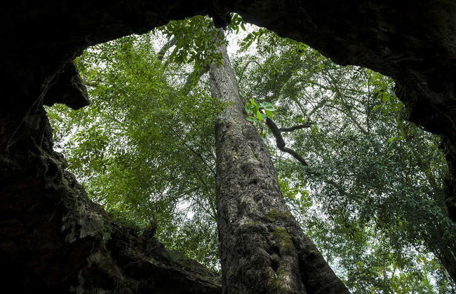Esperienza privata di Cave Tubing nella grotta Pindul + Cascate Sri Gethuk - Foto 3