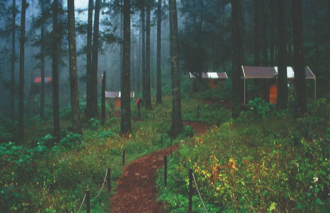 Senderismo y meditación en el Parque Nacional El Chico - Foto 3