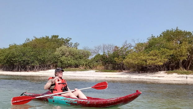 Tour en kayak por la laguna de Términos - Foto 4