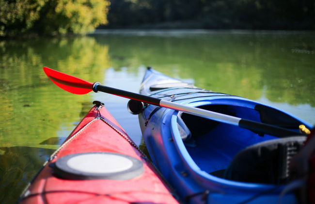 Balade en kayak sur la lagune de Términos - Photo 1