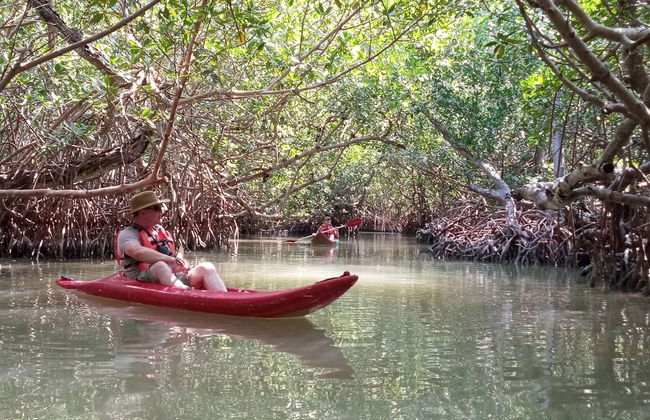 Tour en kayak por la laguna de Términos - Foto 2