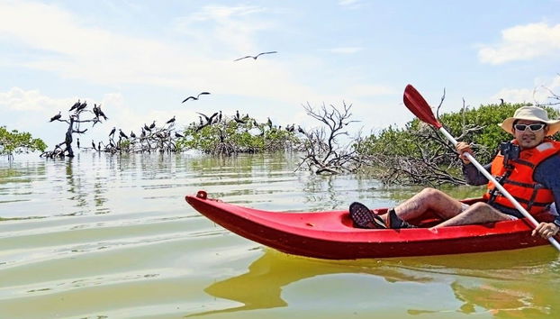 Tour en kayak por la laguna de Términos - Foto 2