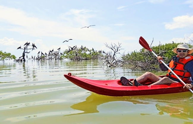 Tour en kayak por la laguna de Términos - Foto 6