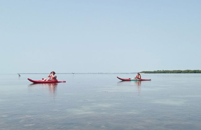 Tour en kayak por la laguna de Términos - Foto 3
