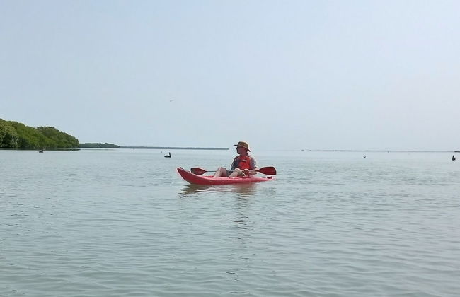 Tour en kayak por la laguna de Términos - Foto 4