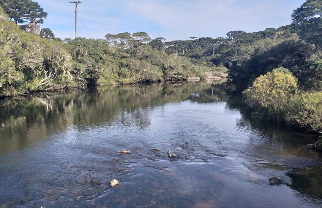 Day Trip to the Itaimbezinho Canyon - Photo 2