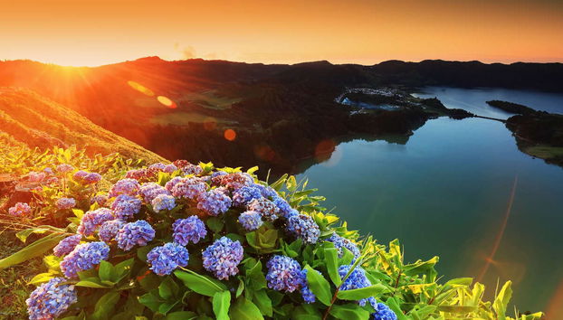 Visite en Jeep des Sete Cidades et du Lagoa do Fogo - Photo 3