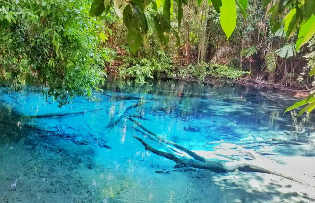 Templo del Tigre, Piscina Esmeralda y fuentes termales - Foto 7