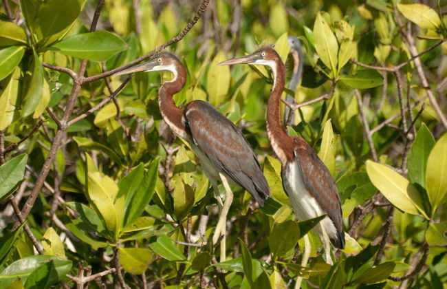 Chacahua Lagoon Day Trip - Photo 5