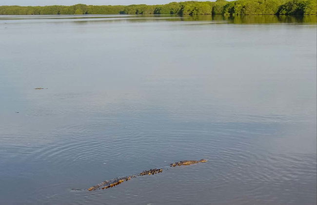Excursión a Lagunas de Chacahua - Foto 4