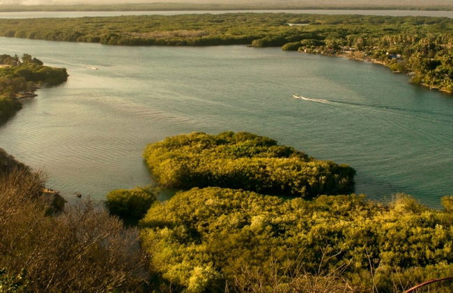 Excursión a Lagunas de Chacahua - Foto 5