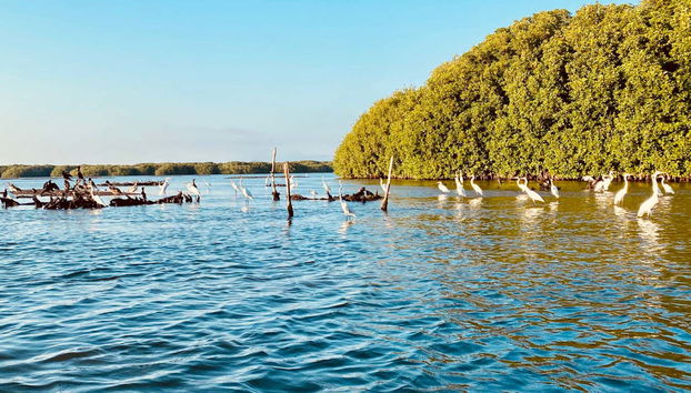 Chacahua Lagoon Day Trip - Photo 4