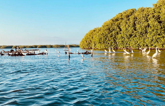 Chacahua Lagoon Day Trip - Photo 4