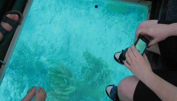 Excursión a Cayo Hueso - Foto 2