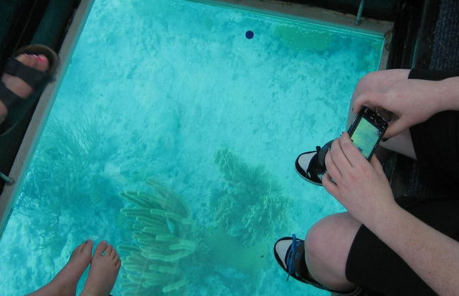 Key West Full-Day Trip - Photo 2