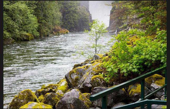 Grouse Mountain Day Trip - Photo 5