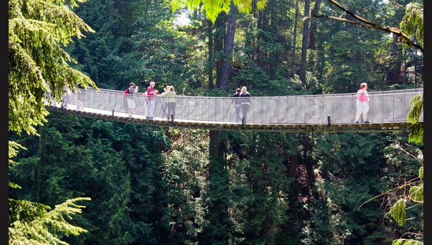 Grouse Mountain Day Trip - Photo 3