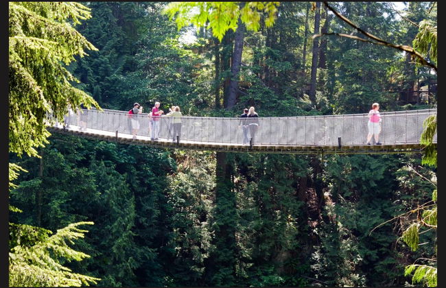 Grouse Mountain Day Trip - Photo 3