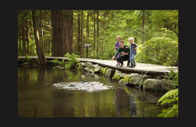 Escursione a Grouse Mountain - Foto 5