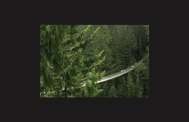 Escursione a Grouse Mountain - Foto 4