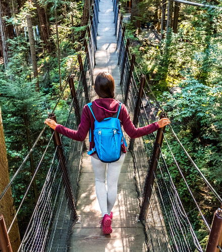 Foto de Puente colgante de Capilano y monte Grouse