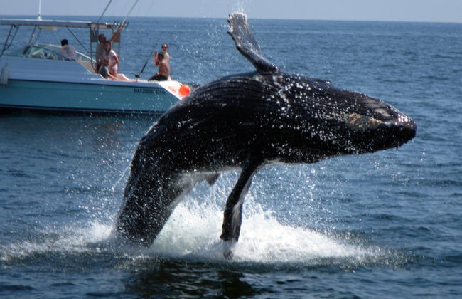 Excursión a las bahías de Huatulco - Foto 4