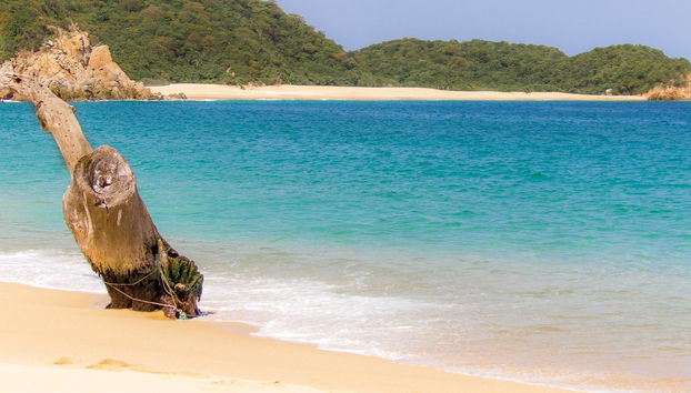 Excursion dans les baies de Huatulco - Photo 4