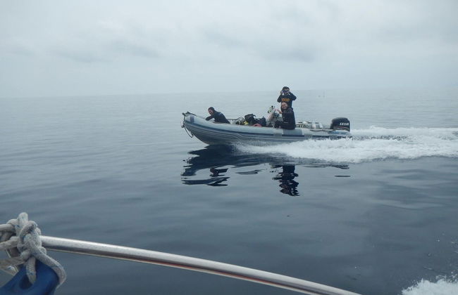 Plongée sous-marine dans le golfe d'Orosei - Photo 2