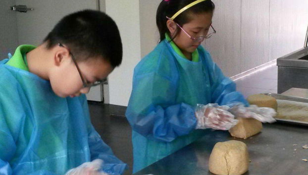 Dujiangyan Panda Base Volunteer Private Experience - Photo 3