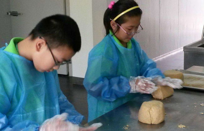 Dujiangyan Panda Base Volunteer Private Experience - Photo 3