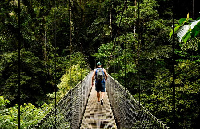 Tour de aventura en el bosque lluvioso - Foto 1