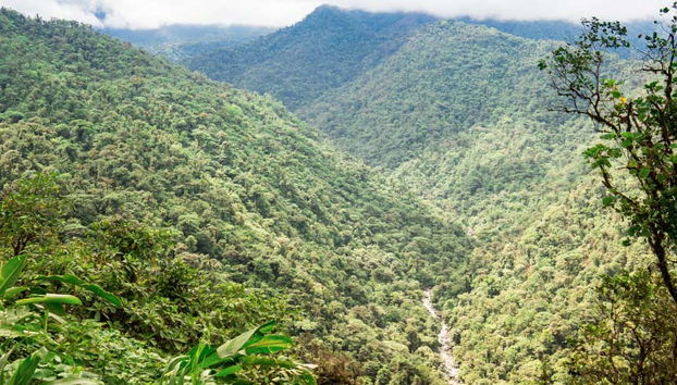 Tour de aventura en el bosque lluvioso - Foto 4