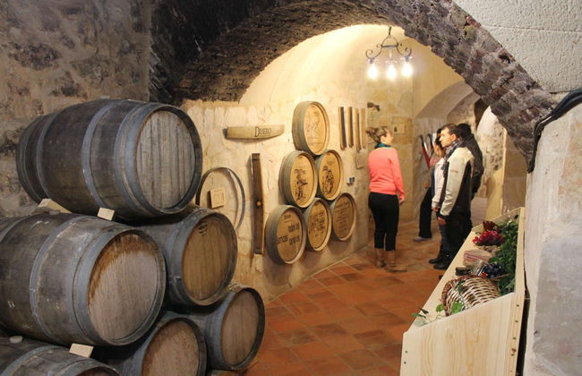 Tour por el Museo del Vino de Aranda de Duero - Foto 2