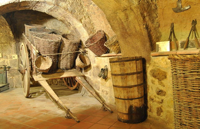 Tour por el Museo del Vino de Aranda de Duero - Foto 4