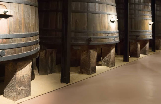 Tour por el Museo del Vino de Aranda de Duero - Foto 6