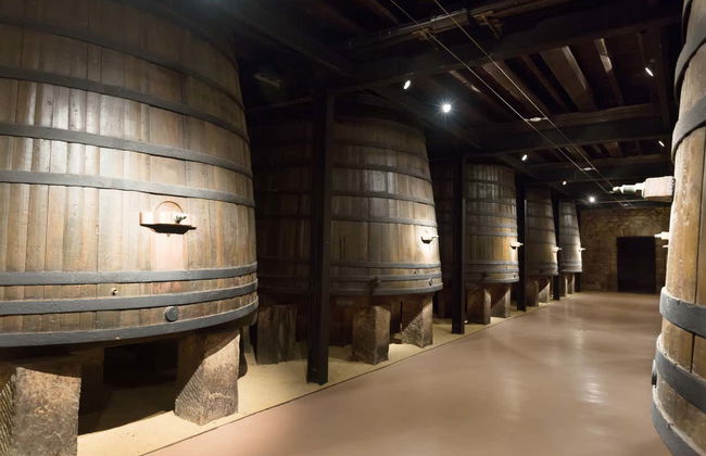 Tour por el Museo del Vino de Aranda de Duero - Foto 5