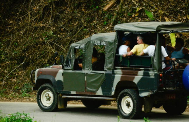 Visite en jeep dans la Serra da Bocaina - Photo 6