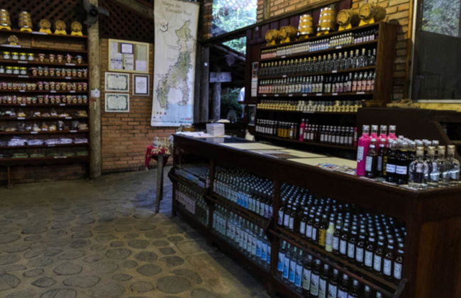 Visite en jeep dans la Serra da Bocaina - Photo 5