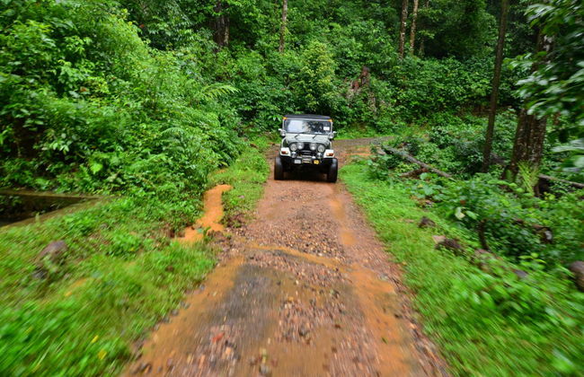 Visite en jeep dans la Serra da Bocaina - Photo 1
