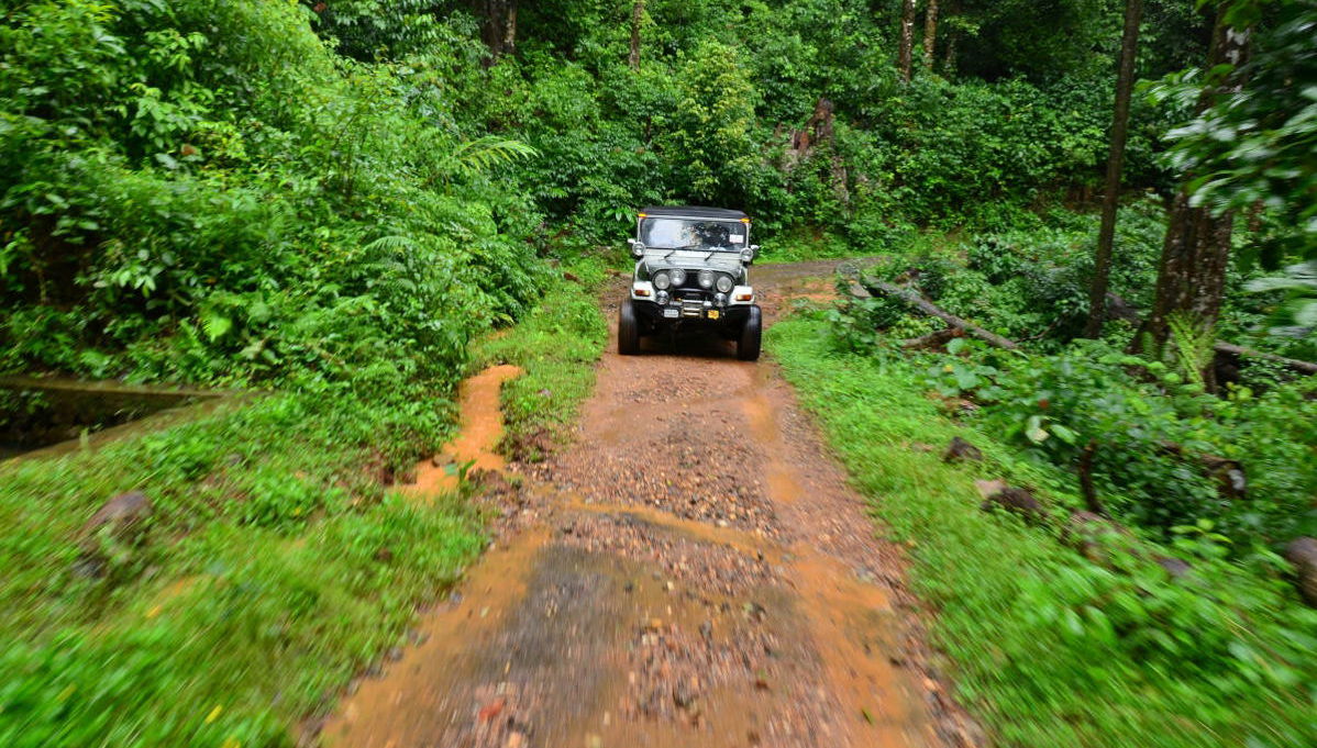 Visite en jeep dans la Serra da Bocaina - Photo 1