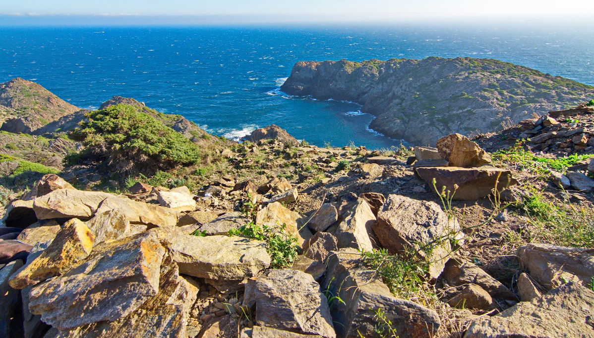 Balade en catamaran dans le Cap de Creus - Photo 1