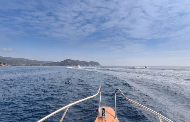 Paseo en catamarán por el Cabo de Creus - Foto 3
