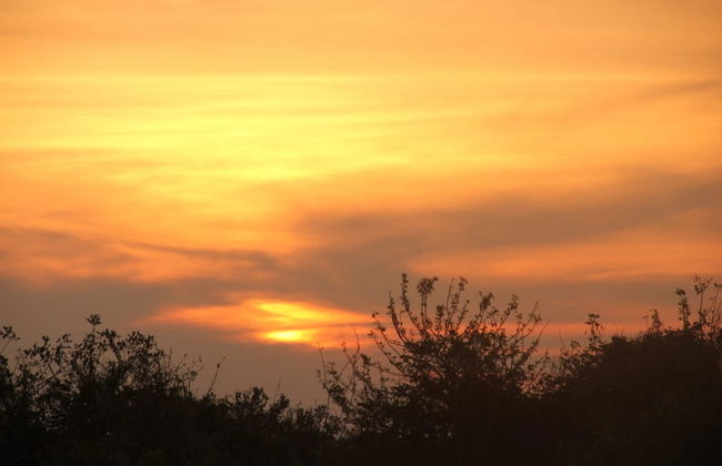 Excursion de 3 jours dans le Parc National Madidi - Photo 5