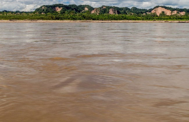 Excursion de 3 jours dans le Parc National Madidi - Photo 6