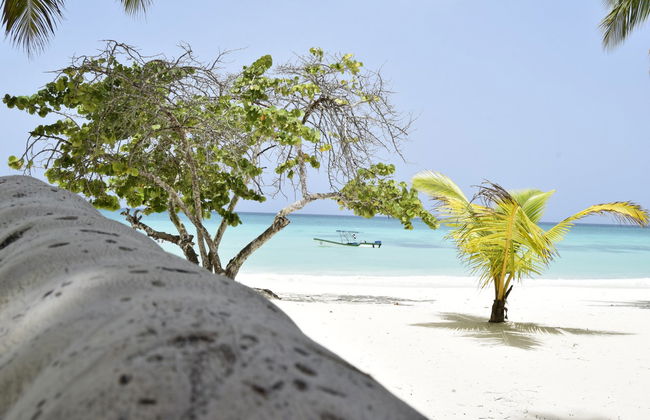 Saona Island Catamaran Tour - Photo 6