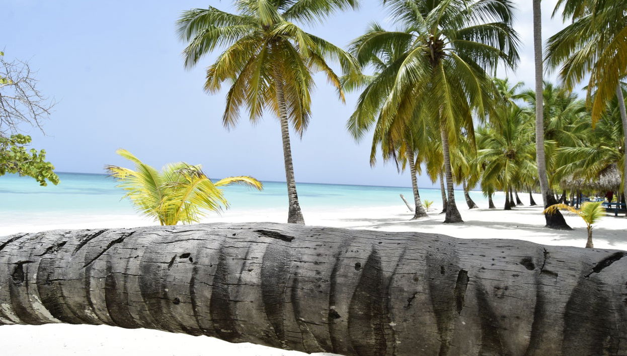 Excursión a isla Saona en catamarán - Foto 1