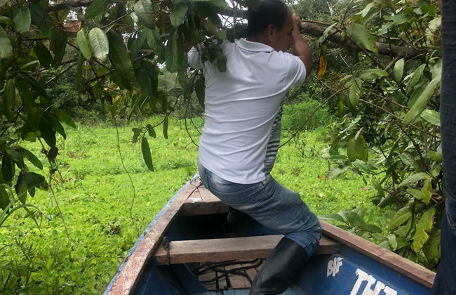 Randonnée dans la forêt amazonienne - Photo 6