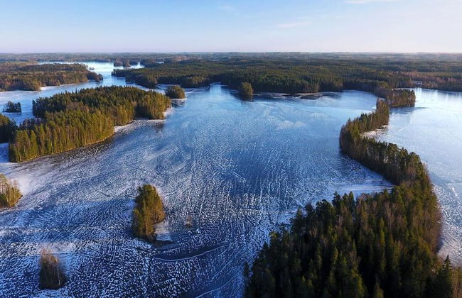 Visit the Liesjärvi National Park - Small Group Tour - Photo 8