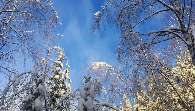 Archipelago Nature Excursion - Half-Day Tour - Photo 5